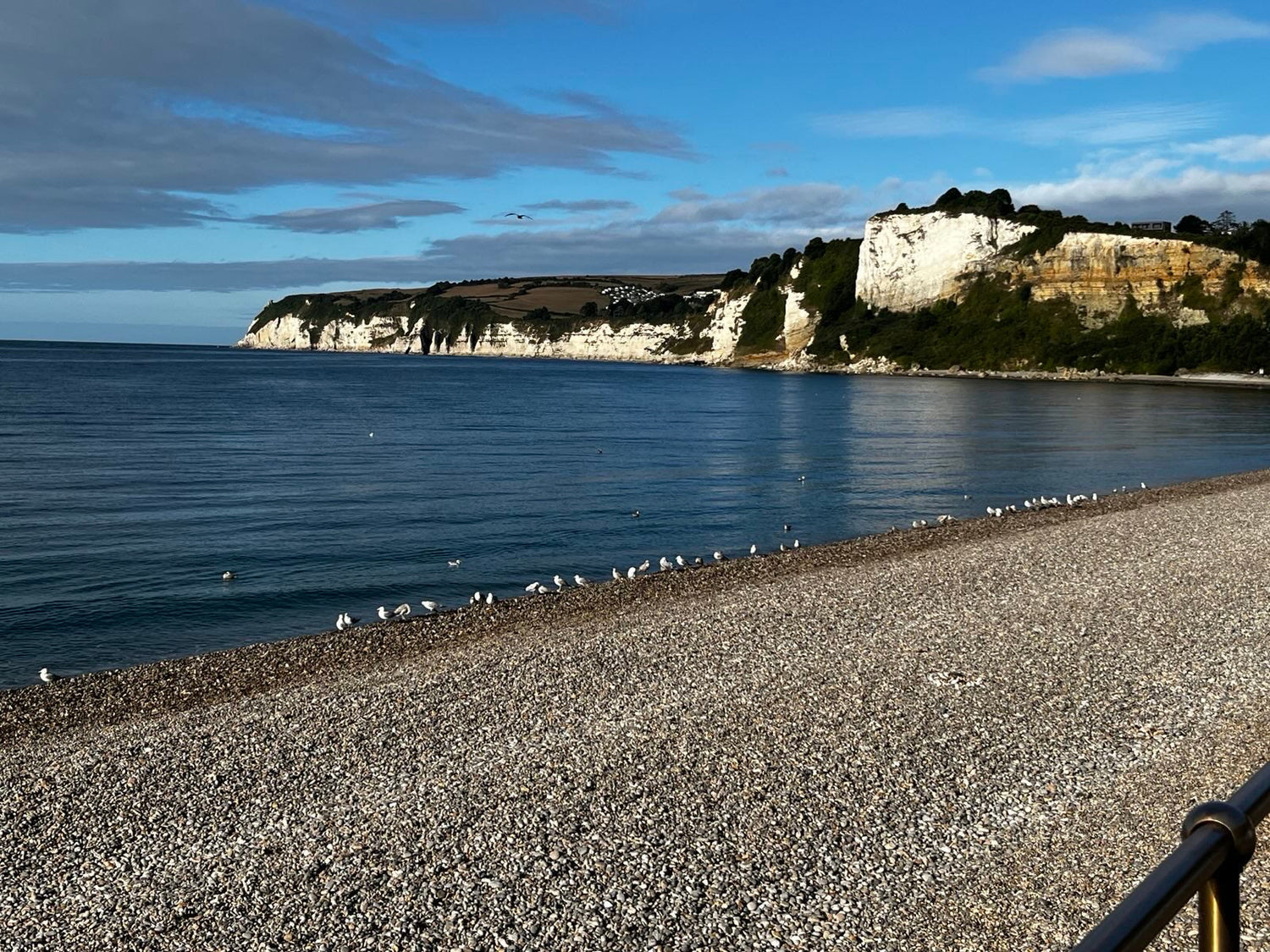 Inspired by East Devon’s stunning cliffs, fossils, and beaches, our mugs, T-shirts and keepsakes are perfect reminders of your coastal adventure.